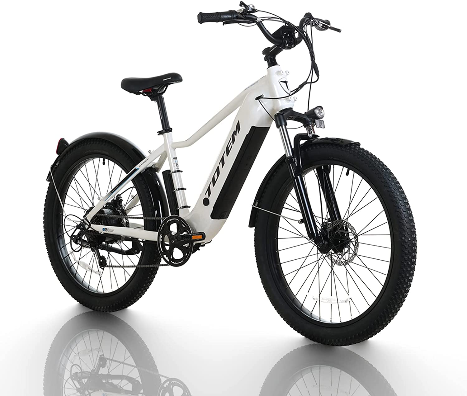 Adult Electric Bike 26 Inch, 750W Powerful Motor, Electric Bike 48V 15Ah Detachable Integrated Lithium Battery