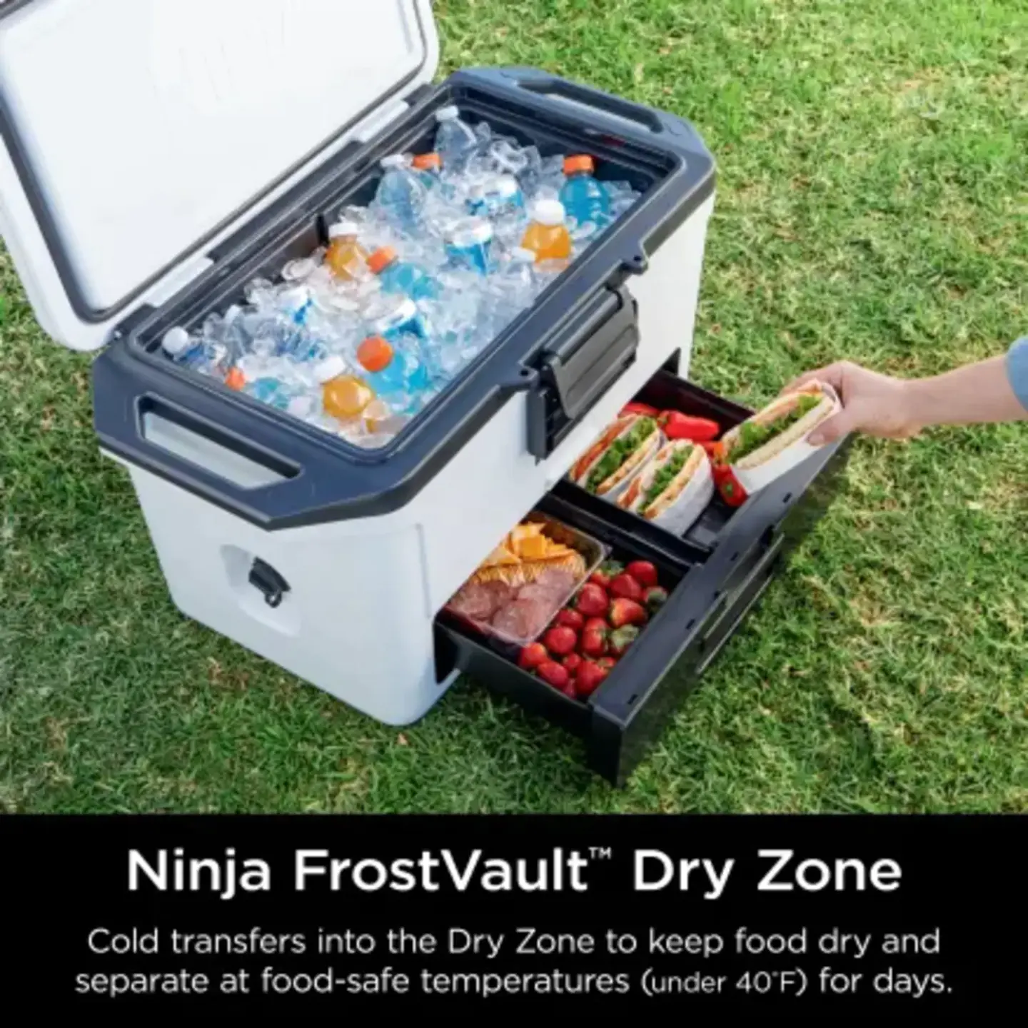 💥Spring Black Friday💥 -   NINJA 2024 LATEST - Tiered All-In-One Portable Refrigerator with Drying Area